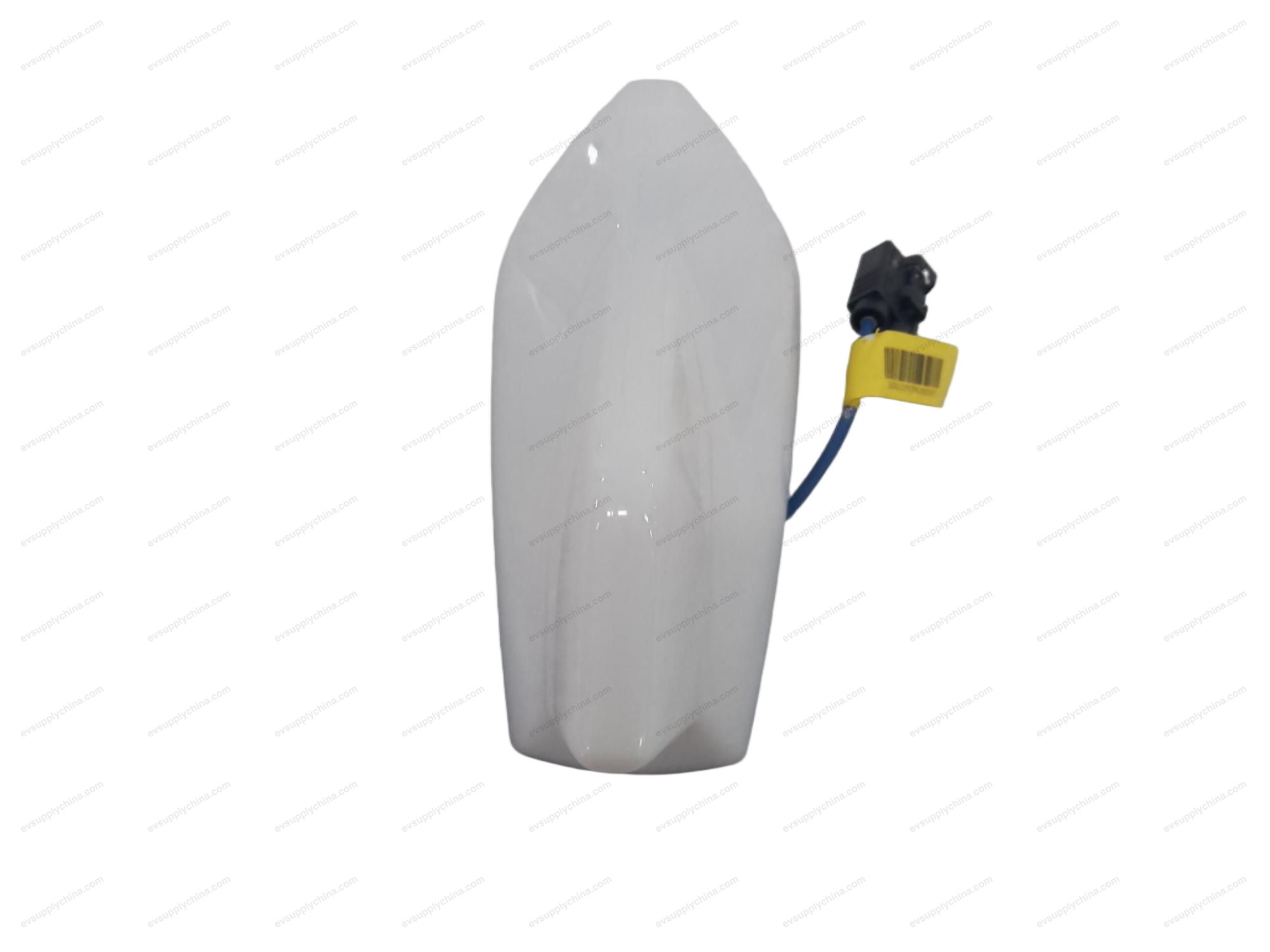 External antenna — BYD Song Plus EV (2025)