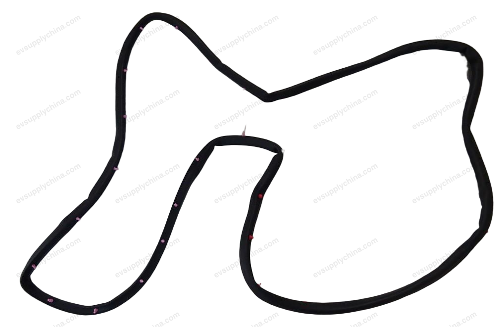Left rear door sealing strip — BYD Song Plus EV (2025)