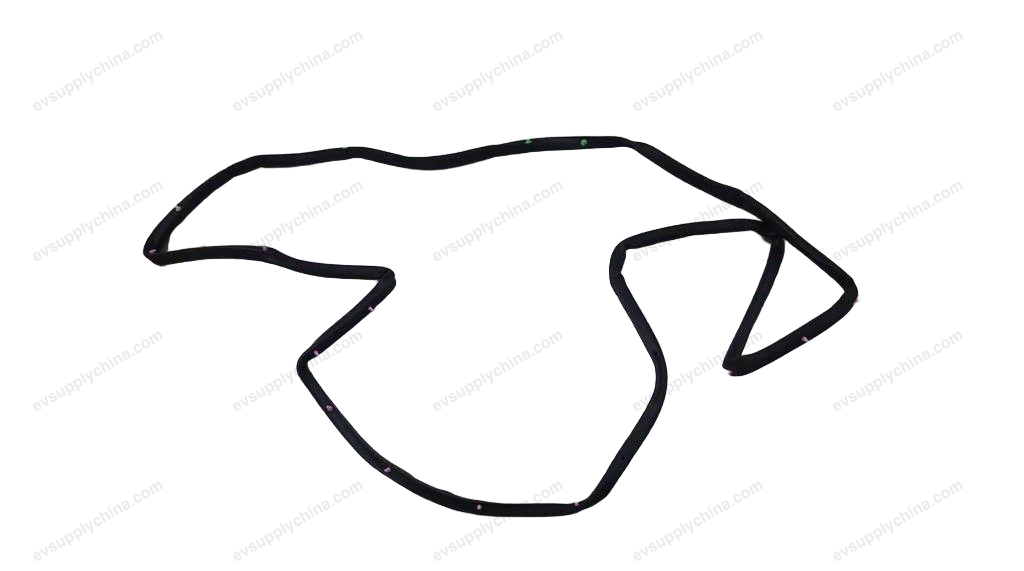 Right rear door sealing strip — BYD Song Plus EV (2025)