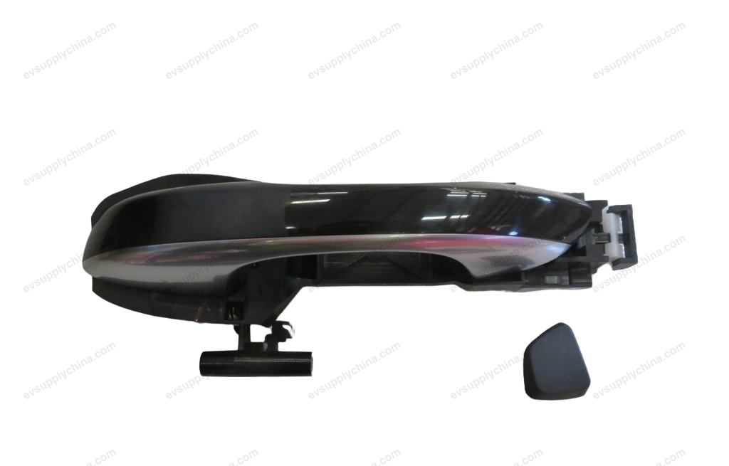 Left rear door handle — BYD Tang EV