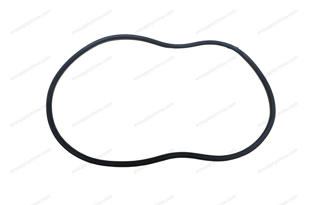 Right rear door frame sealing strip — BYD Tang EV