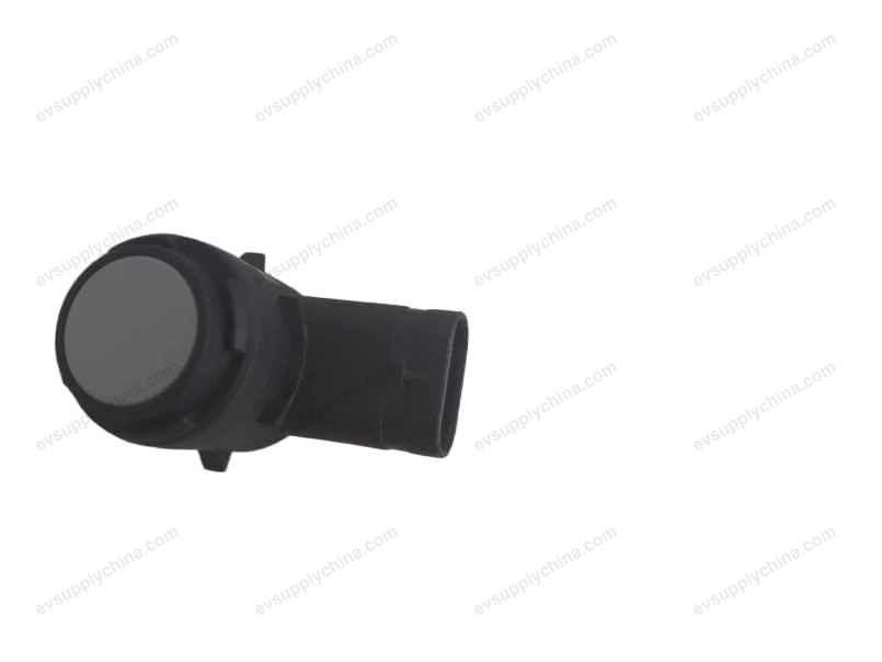 Small probe — BYD Tang EV