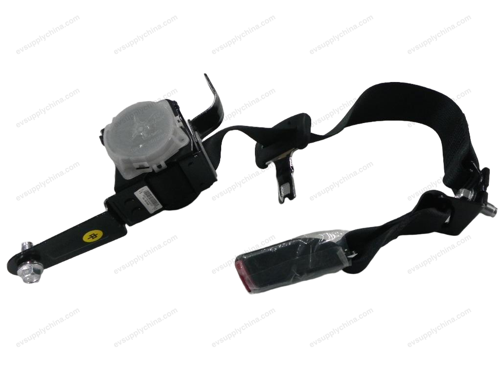 Rear three-point seat belt — BYD Destroyer 05
