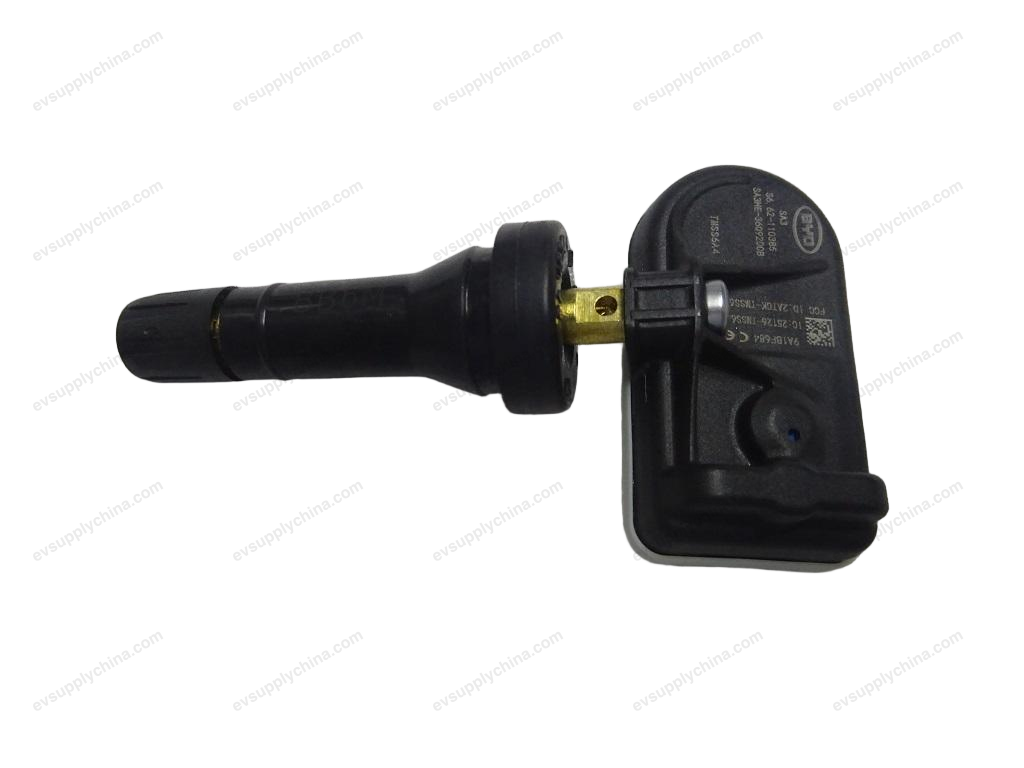 Tire pressure monitoring module — BYD Destroyer 05
