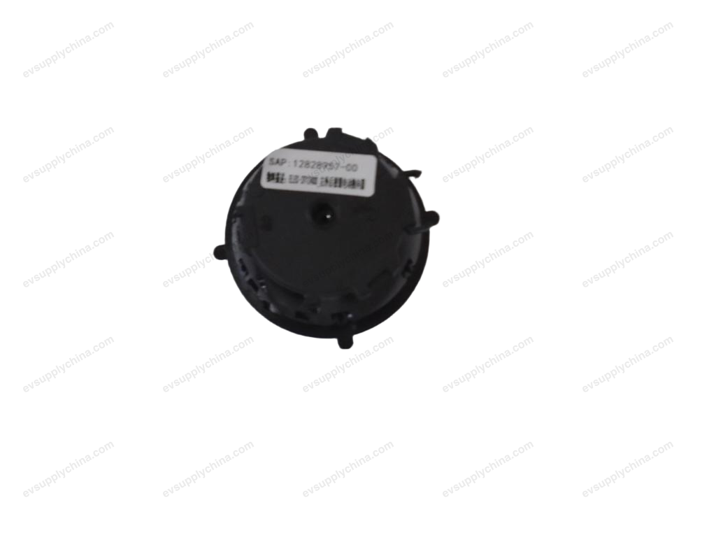 Right exterior mirror electric switch — BYD Qin Plus EV
