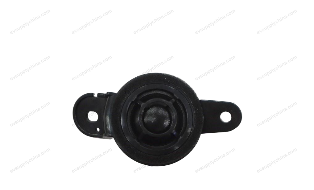 Left tweeter — BYD Tang EV