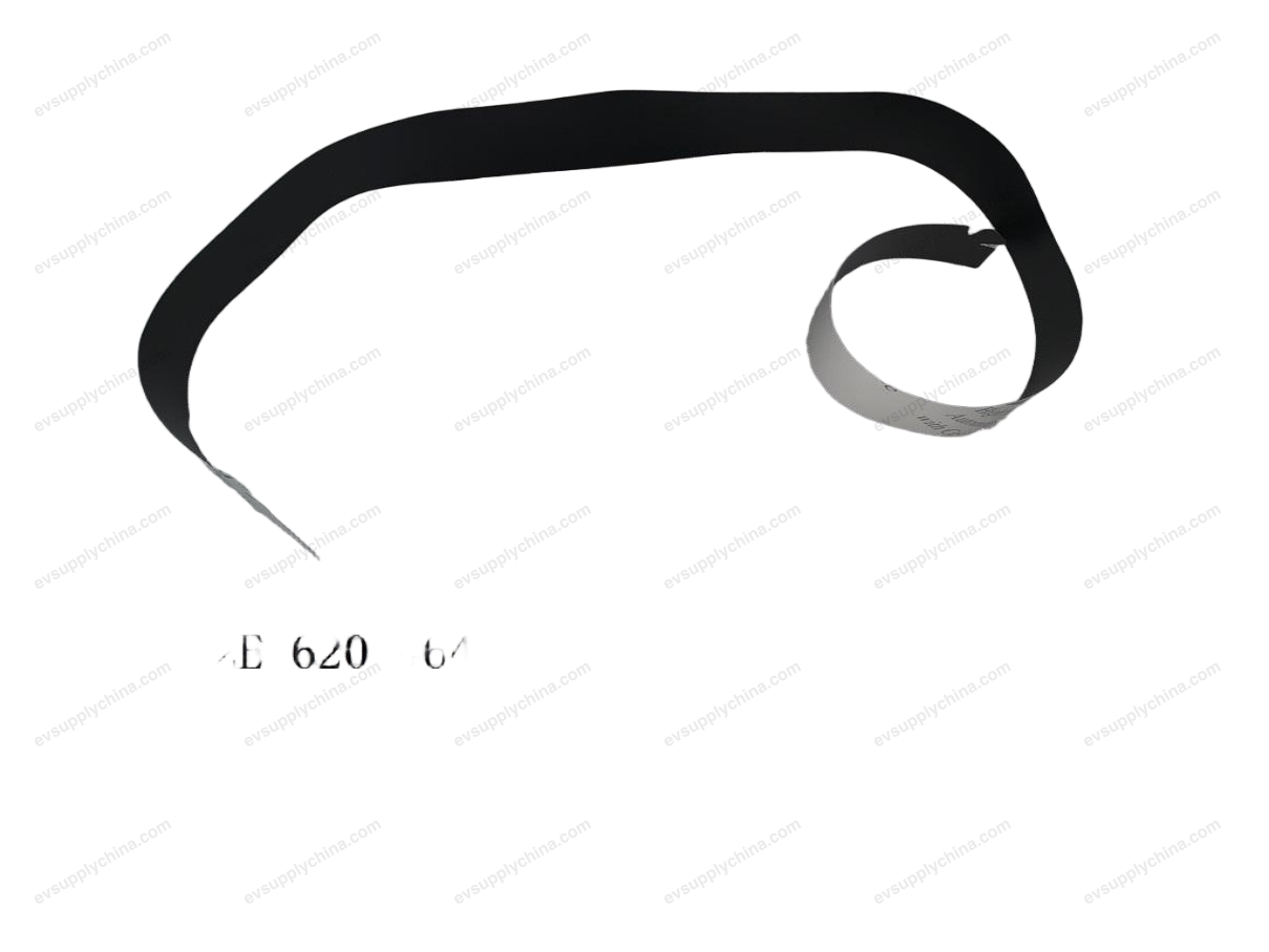 Blackout film on the right rear door and window frame — BYD Dolphin